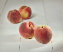 Pfirisch `Fruteria´ Prunus Persica `Fruteria´