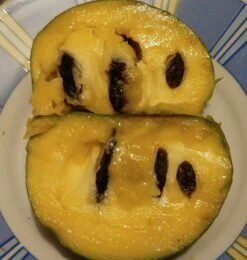 Garten Genuss -Garten Genuss Indianerbanane von Innen