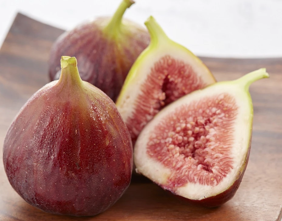 Garten Genuss 25 Garten Genuss -Garten Genuss Little Miss Figgy