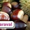 Esskastanie `Maraval´ Castanea Sativa `Maraval´ -Garten Genuss Maraval