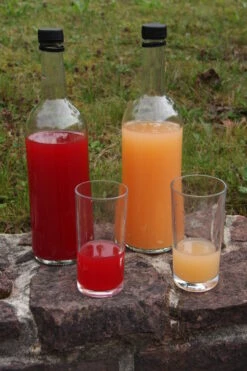 Rosette® Malus Domestica -Garten Genuss Rosette Saft