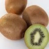 Kiwi `Solissimo´® Actinidia Deliciosa -Garten Genuss actinidia deliciosa kiwi 1s1b4334