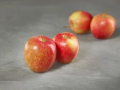 Rewena ® Malus Domestica -Garten Genuss apfel rewena g