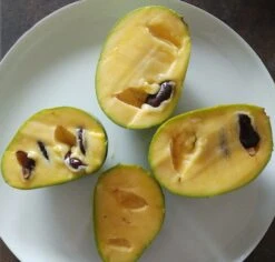 Garten Genuss -Garten Genuss indianerbanane frucht aufgeschnittengmEN4ZYFNT7IC