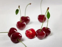 Achat Ⓢ Prunus Cerasus `Achat´ -Garten Genuss sauerkirsche achat ggmc5Q8G1QL1D9