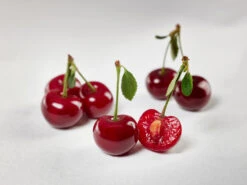 Safir ® Prunus Cerasus `Safir´ -Garten Genuss sauerkirsche safir glCz99JjQsQ3RC